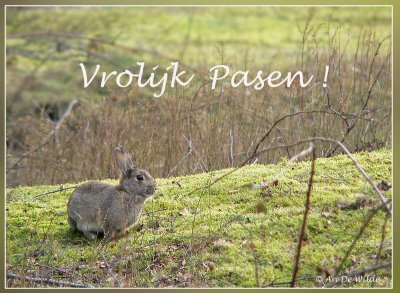Happy Easter !