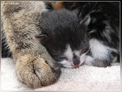 mama heeft grote voeten ;-)