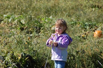 Reagan helping with the search for the perfect pumpkin