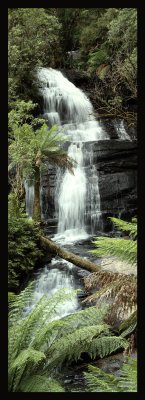 WATERFALLS. OTWAY RANGES