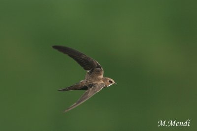 g6/36/748736/3/84575353.R5ACg9iL.jpg