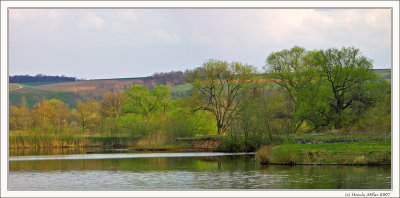 Spring at the Fishing Lake