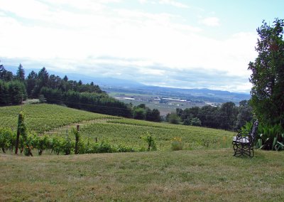 Picnic Area Amity Vineyards