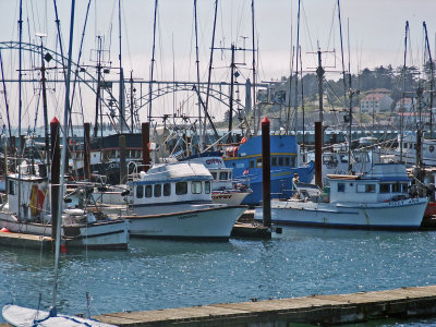 Yaquina Bay Bridge