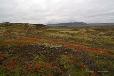 Iceland01.jpg