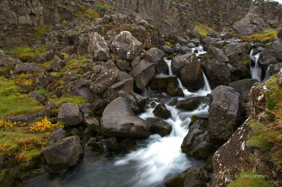 Thingvellir Iceland19.jpg