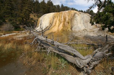 YellowStone26.jpg