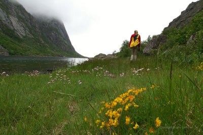 Lofoten_06.jpg