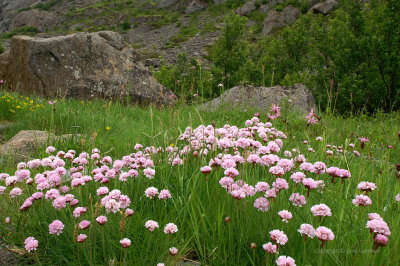 Lofoten_07.jpg