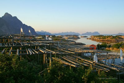 Lofoten_48.jpg