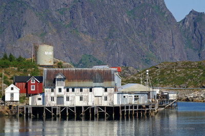 Lofoten_53.jpg