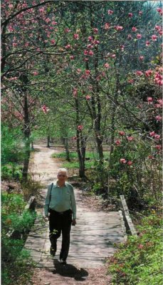 Coming from his magnolia garden, behind their house in Hendersonville. May 2000.
