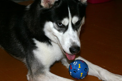 IMG_2772.jpg