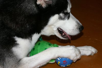 IMG_2775.jpg