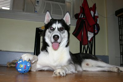 IMG_2785.jpg