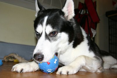 IMG_2788.jpg