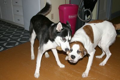 IMG_3275.jpg