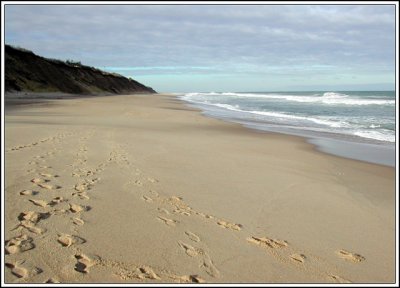 Beach near Nauset Light