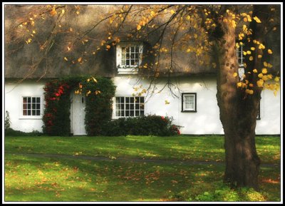 Cottage on the village green, mid-November