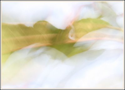 Fluttering leaves