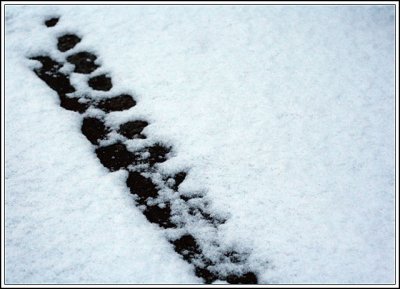 24-Jan-07
