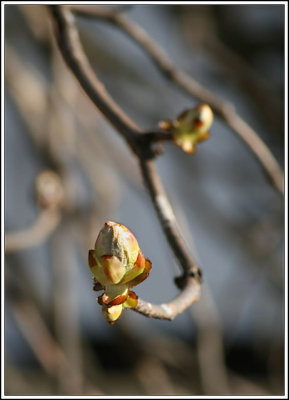 14-Mar-07
