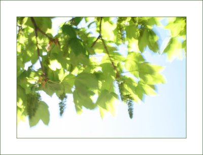 01-May-07