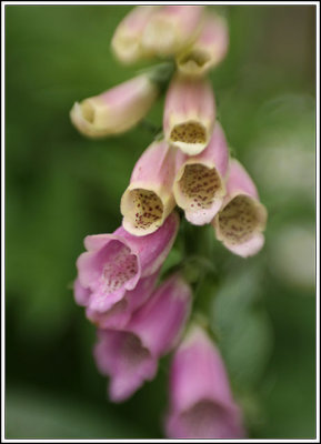 11-May-07