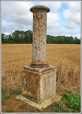 16-Aug-07