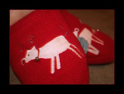 07-Dec-07