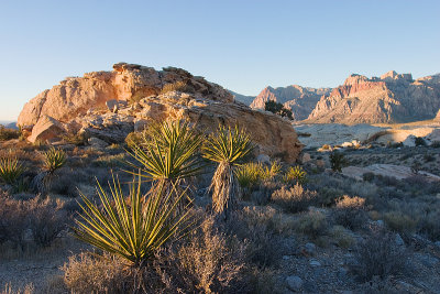 Sunrise at Red Rock Canyon