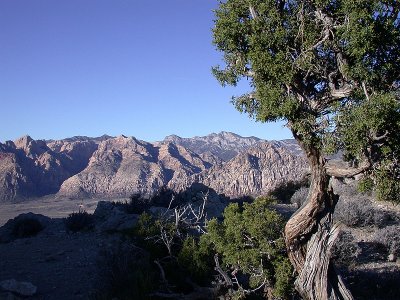 Red Rock Canyon Area