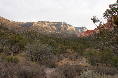 Red Rock Canyon Area