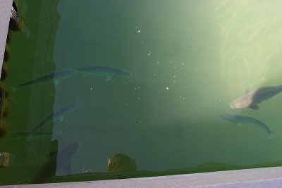 g6/37/284637/3/82404474.bqjqwJ0f.jpg