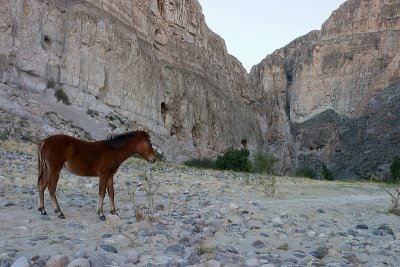 Rio Grande, Big Bend National Park