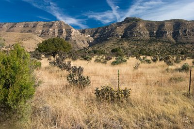 Close to Dog Canyon
