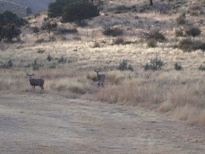 Dog Canyon, Guadalupe Mountains National Park