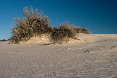 White Sands National Monument