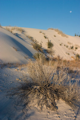 White Sands National Monument