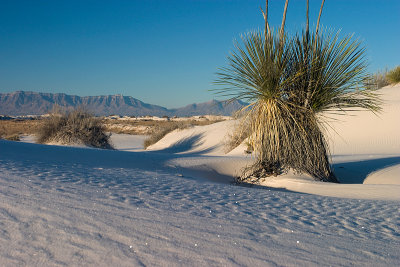 White Sands National Monument