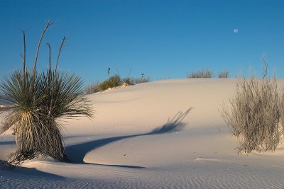 White Sands National Monument