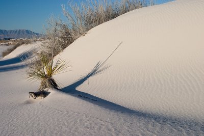 White Sands National Monument