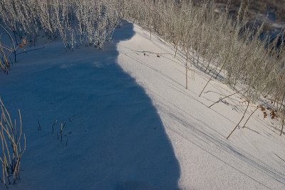 White Sands National Monument