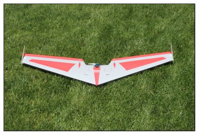 Scott's Ritewing TL50