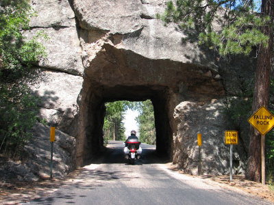 Custer State Park, SD