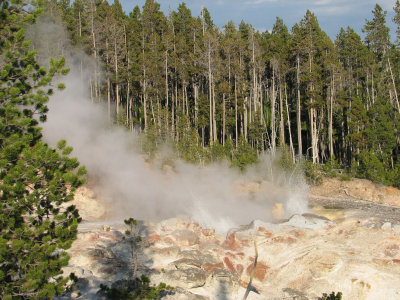 Yellowstone National Park