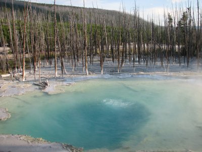 Yellowstone National Park