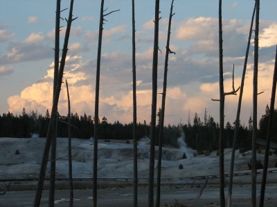 Yellowstone National Park