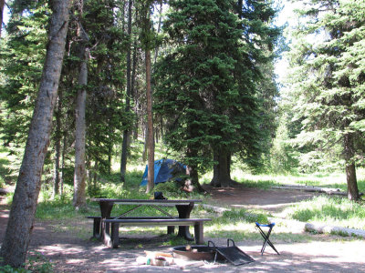 Yellowstone National Park