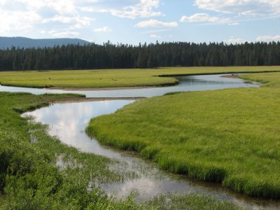 Yellowstone National Park